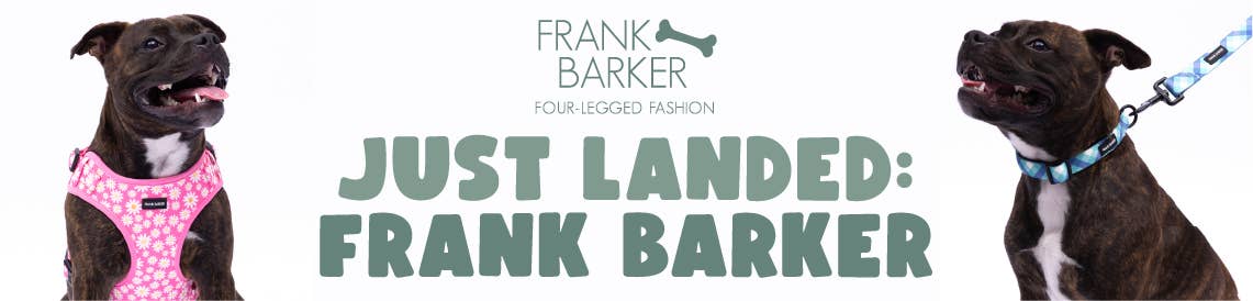 Pink Daisies Collection