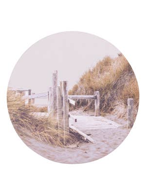 Palm Cove Beach Path Ceramic Coaster
