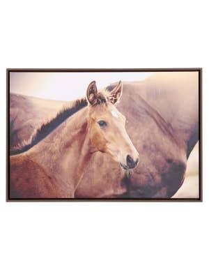 Rustic Meadow Horse Framed Canvas 94x64