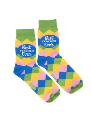 Teacher Best Teacher Socks