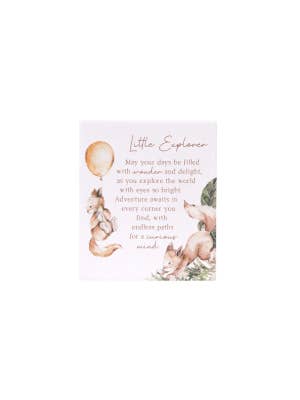Tiny Wonders Explorer Verse