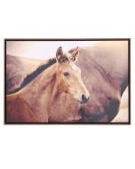 Rustic Meadow Horse Framed Canvas 94x64