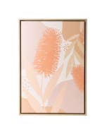 Fleur Bottlebrush Framed Canvas 44x64
