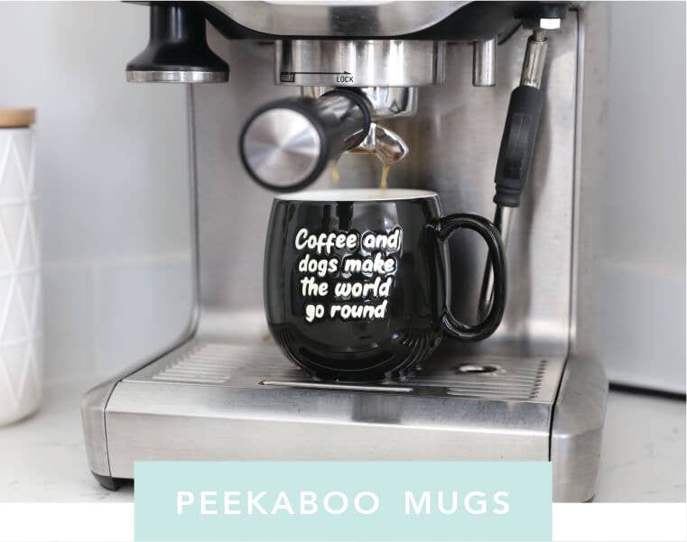 Shop Colour Pop Mugs